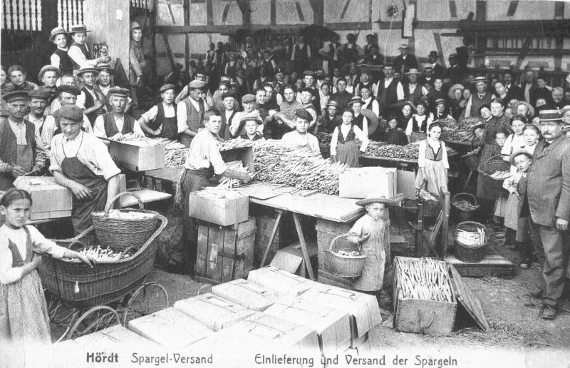 Collecte et expédition des asperges à la ferme Stehly (vers 1910) ©Hoerdt, images d