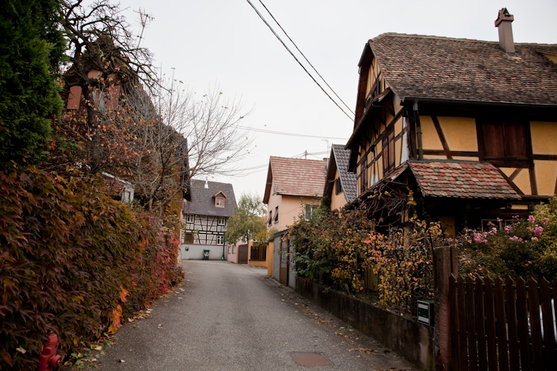 Bieberschwanz dans une ruelle hoerdtoise ©Madeos