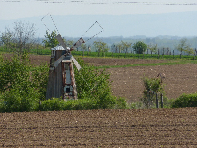 Moulin à vent au Biethlerberg ©Emmanuel Spitz