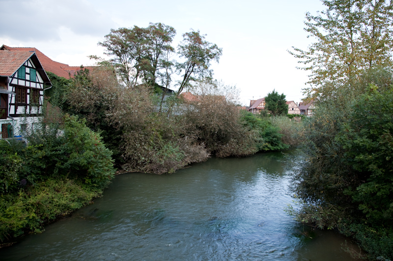 Vue sur la Pfarbach à Weyersheim ©Madeos