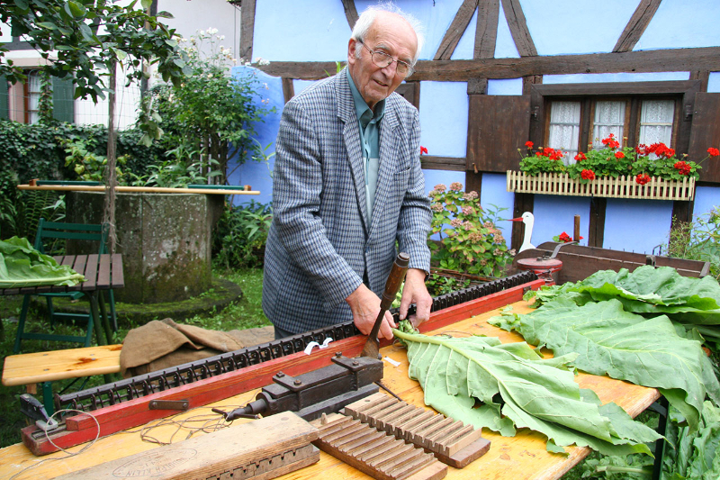 Enfilage du tabac et fabrication des cigares à la maison archaïque en août 2014 ©Commune de Weyersheim