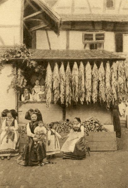 Flétrissage du tabac sous un balcon galerie à Hoerdt ©Hoerdt, images d