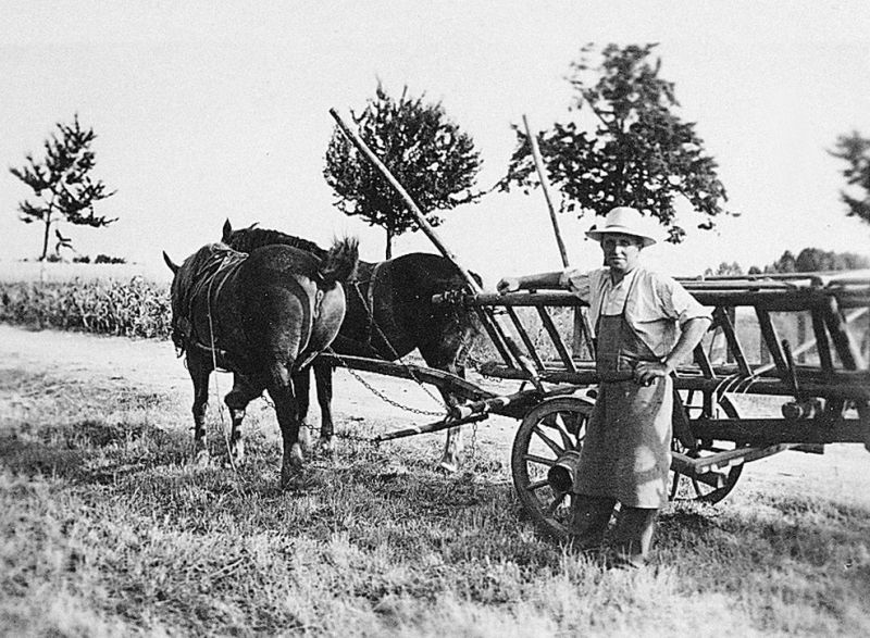 Charette à échelle (Leterweuje) lors de la fenaison à Gries