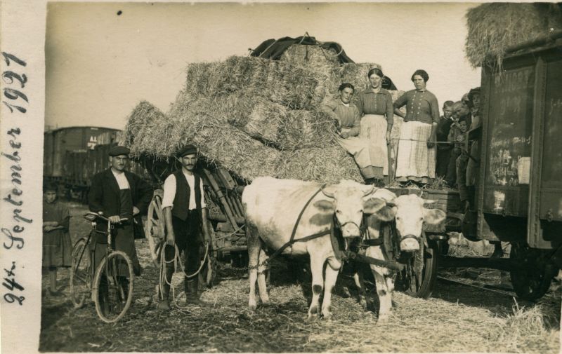 Chargement de balles de foin à la gare de Hoerdt en septembre 1927