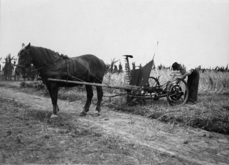 La faucheuse avec sa rateleuse à foin