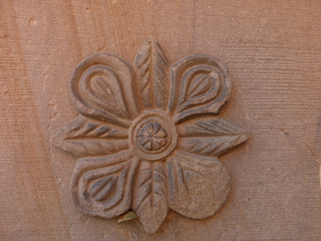 La fleur de la garance des teinturiers ©Emmanuel Spitz