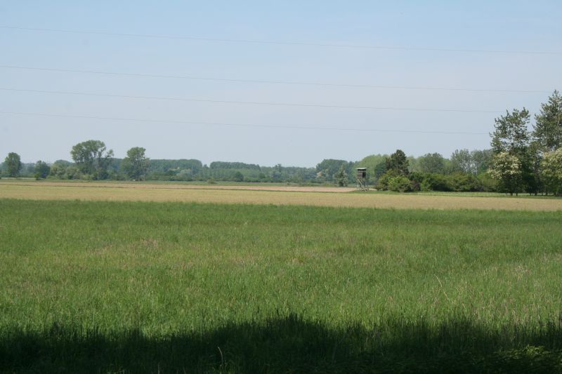 Les prairies riediennes ©CCBZ