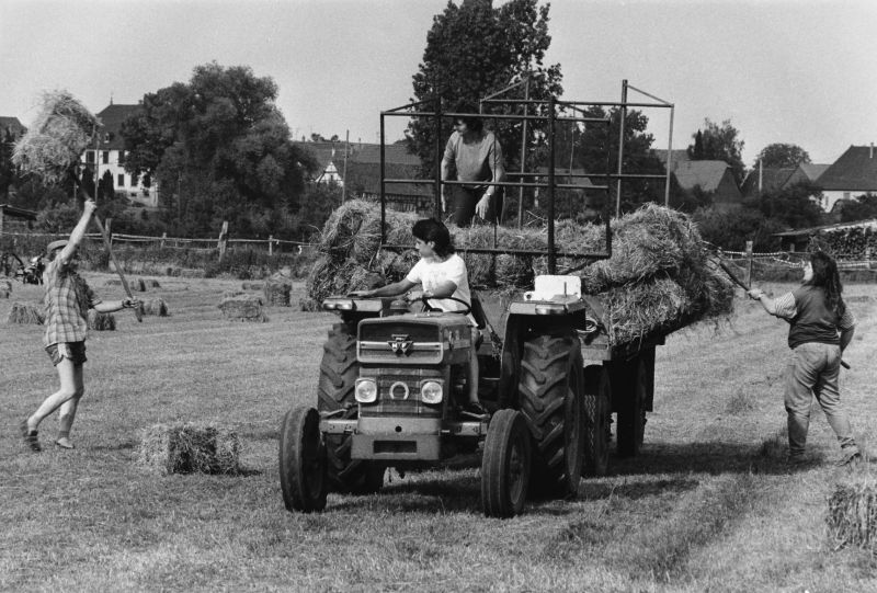 Chargement des balles de regain dans les près de Geudertheim dans les années 80 ©Geudertheim, le grenier aux images, Carré Blanc Editions, 2005, coll. Mémoires de vies ® 