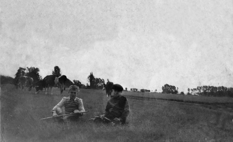 Surveillance des vaches par les enfants de Geudertheim ©Geudertheim, le grenier aux images, Carré Blanc Editions, 2005, coll. Mémoires de vies ® 