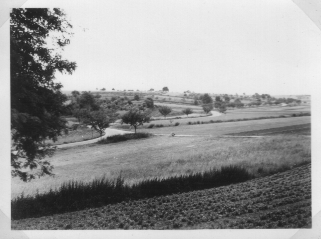 Aperçu des collines de loess de Weitbruch au siècle dernier ©Alain Christophe