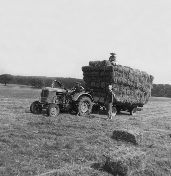 Le foin pressé en balles rectangulaires à l