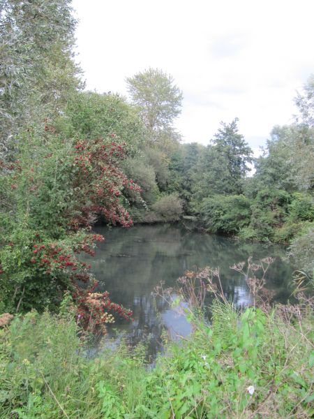 La frayère du Schiffmatten à Hoerdt ©CCBZ