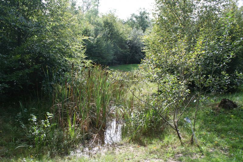 La mare pédagogique du sentier botanique de Gries ©CCBZ