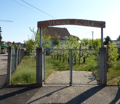 Verger-école de Gries © Emmanuel Spitz