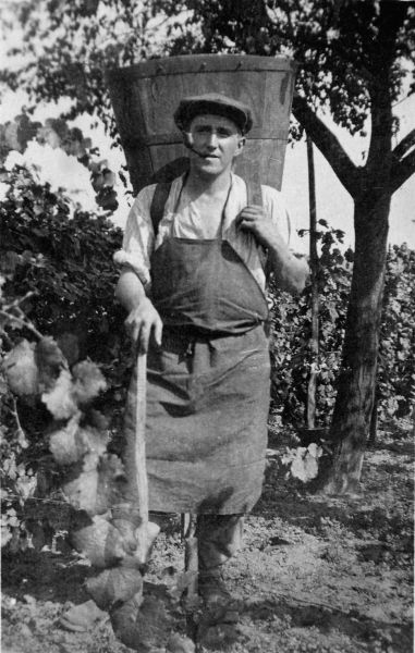 Philippe Hauptmann de Geudertheim aux vendanges © Geudertheim, le grenier aux images, Carré Blanc Editions, 2005, coll. Mémoires de vies ® 