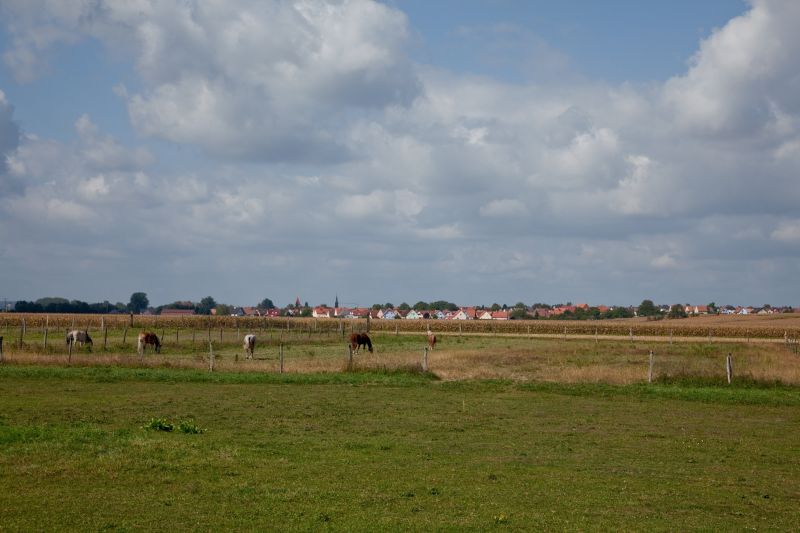 Prairies ©CCBZ