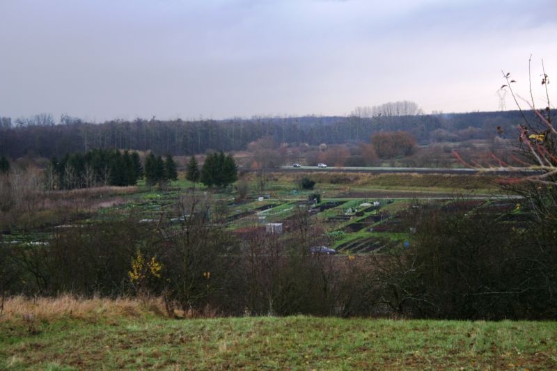 Vue sur les jardins du ried à Weyersheim (depuis le Rebberg) ©CCBZ