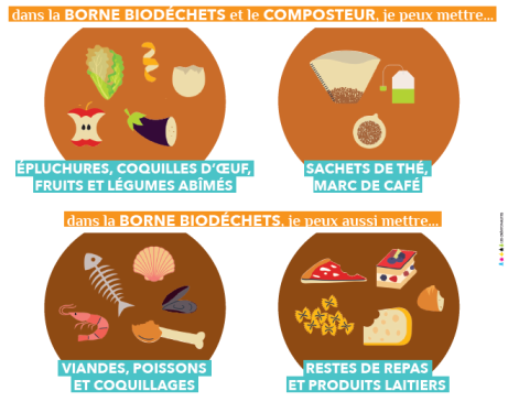 consignes biodéchets et compostage